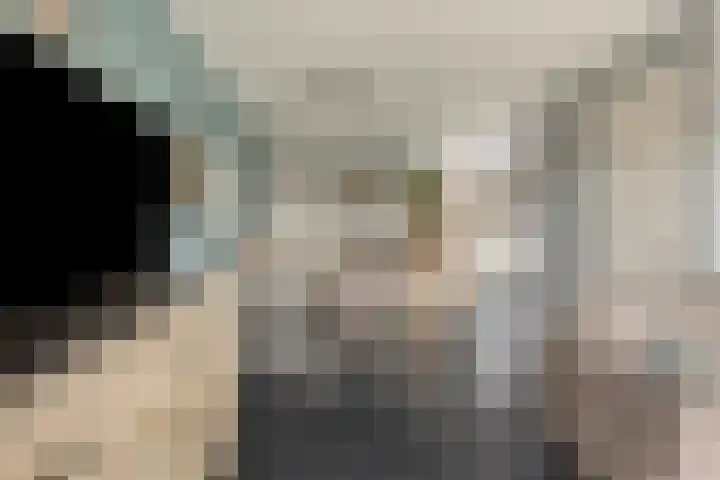 Melkpad 62 Zeeland thumbnail 5
