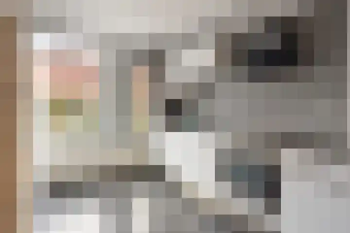 Melkpad 62 Zeeland thumbnail 6
