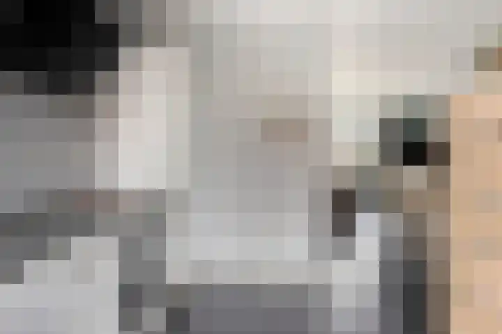 Melkpad 62 Zeeland thumbnail 7