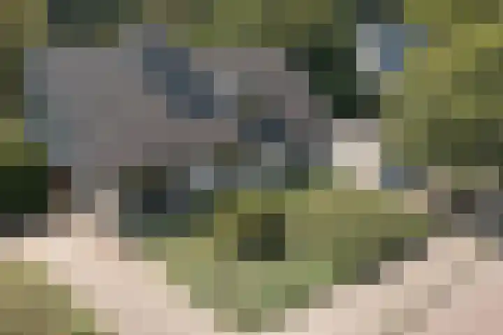 Melkweg 10 Dronten thumbnail 5