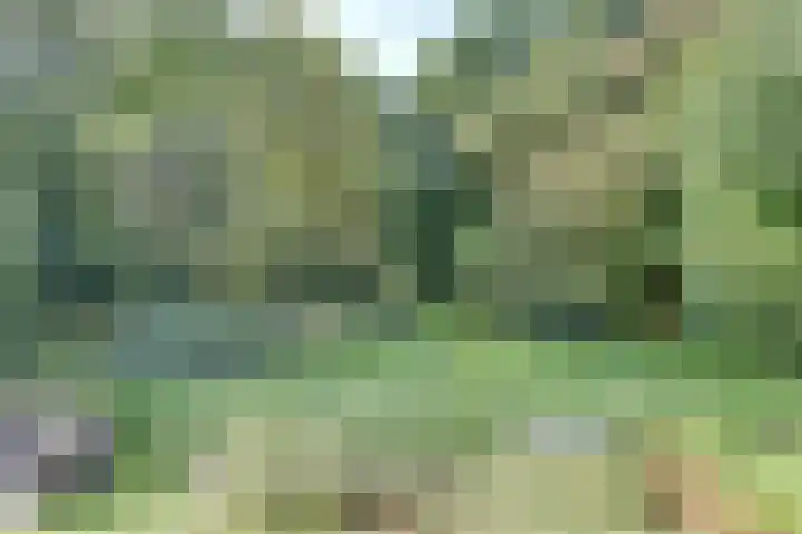 Melkweg 10 Dronten thumbnail 52