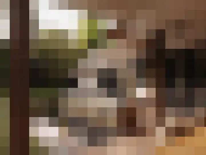 Melkweg 11 Blaricum thumbnail 10