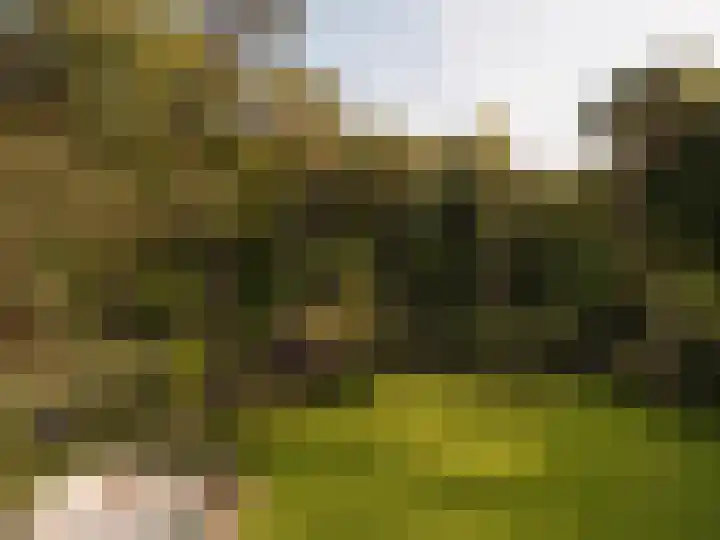 Melkweg 11 Blaricum thumbnail 16
