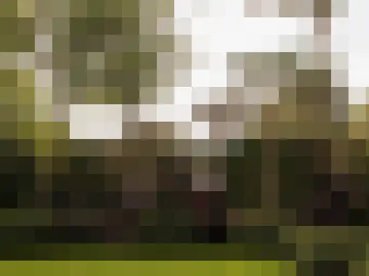 Melkweg 11 Blaricum thumbnail 17