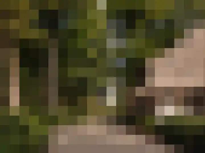 Melkweg 11 Blaricum thumbnail 4