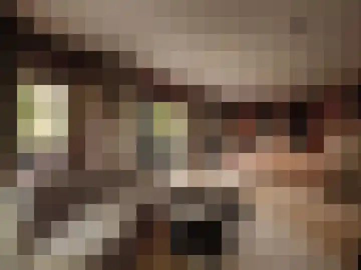 Melkweg 11 Blaricum thumbnail 49