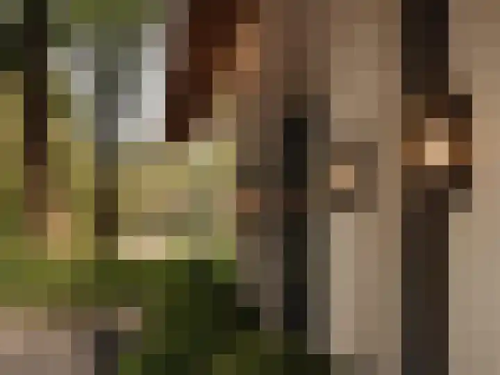 Melkweg 11 Blaricum thumbnail 5