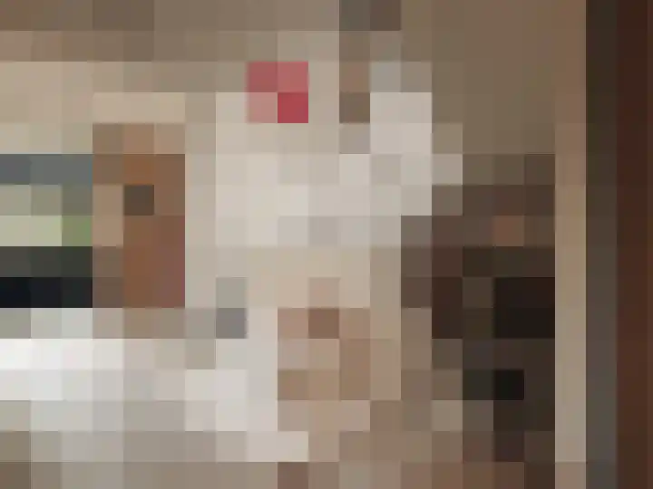 Melkweg 11 Blaricum thumbnail 67