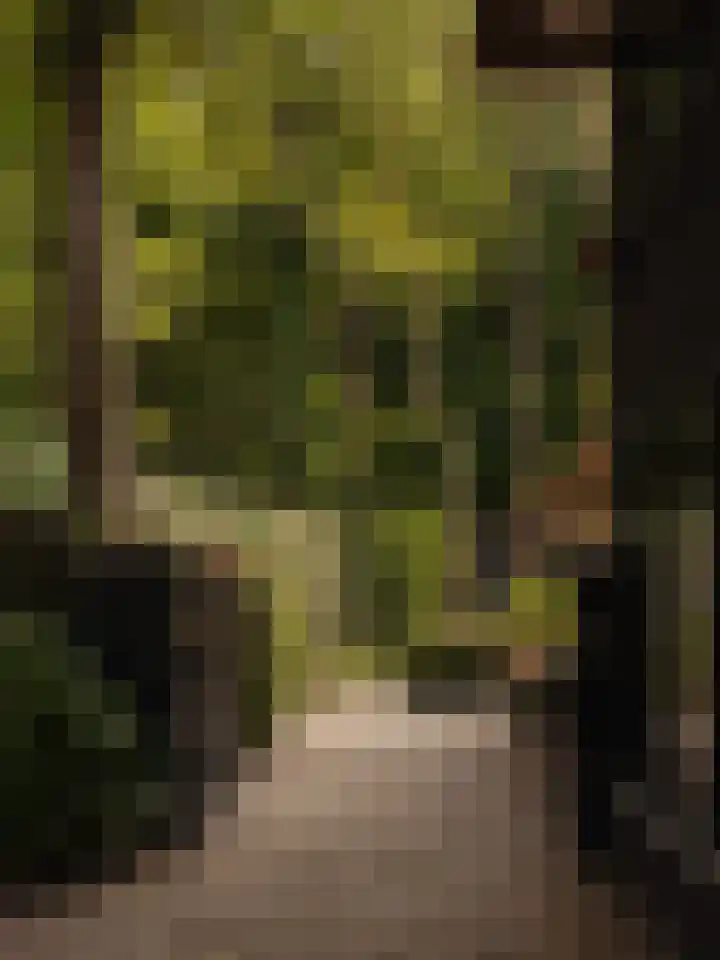 Melkweg 11 Blaricum thumbnail 7