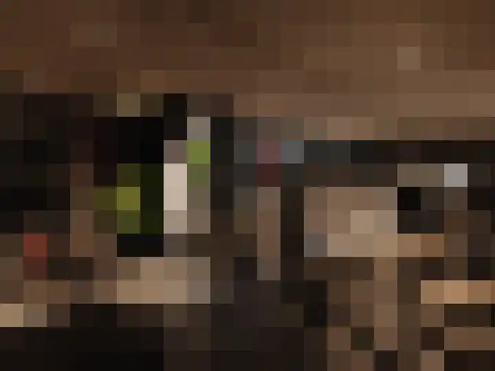 Melkweg 11 Blaricum thumbnail 71