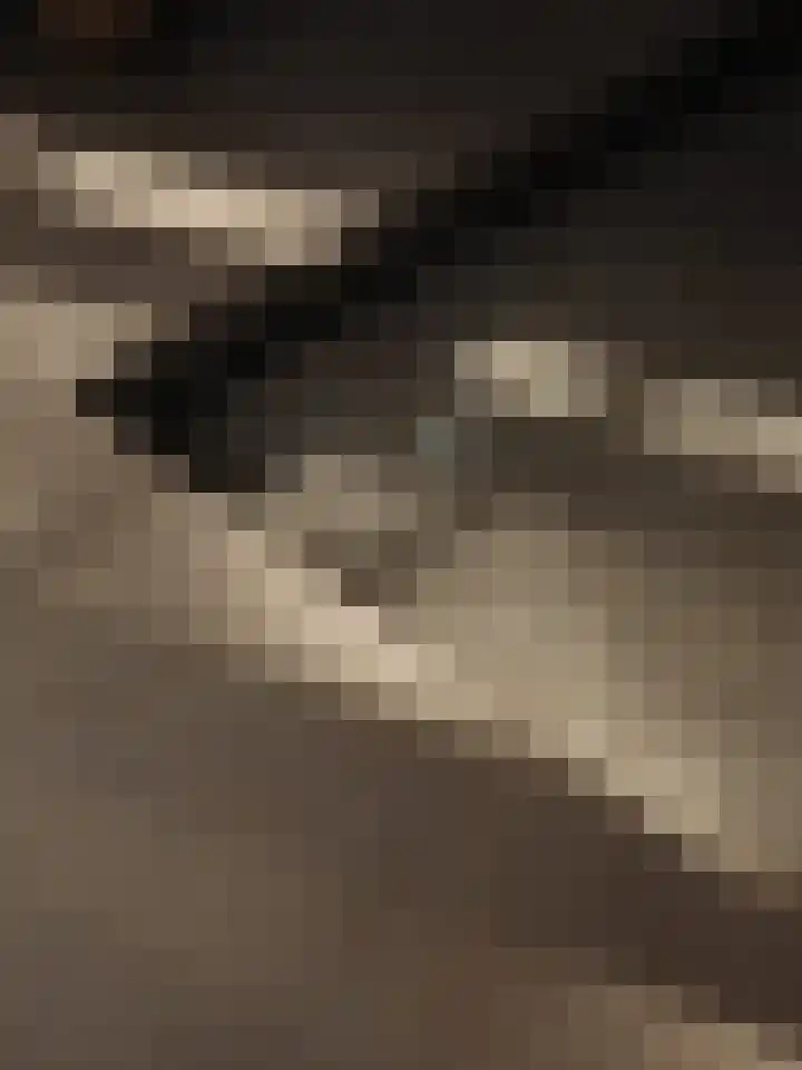Melkweg 11 Blaricum thumbnail 74