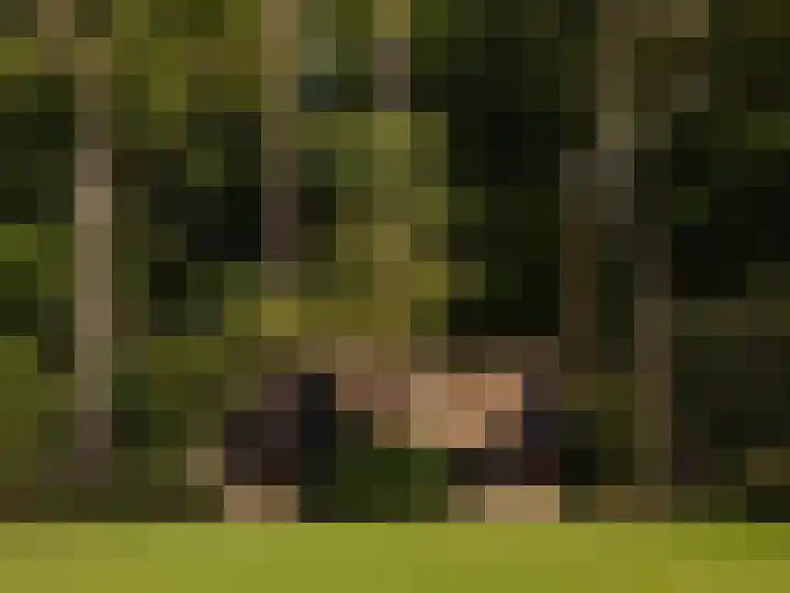 Melkweg 11 Blaricum thumbnail 79