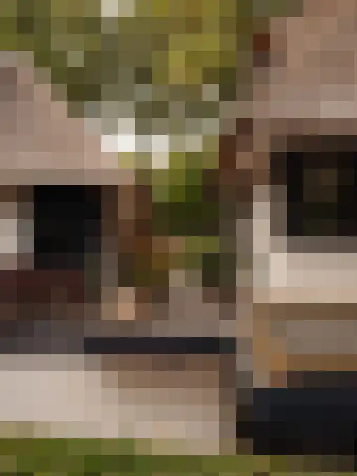 Melkweg 11 Blaricum thumbnail 9