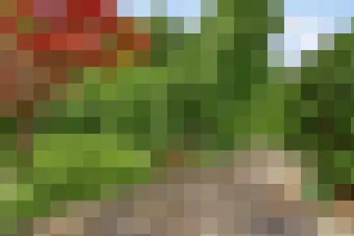 Melkweg 12 Dronten thumbnail 32