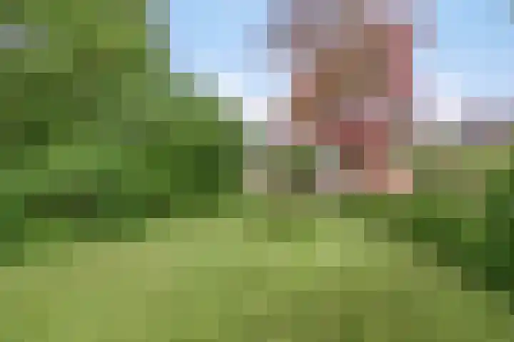 Melkweg 12 Dronten thumbnail 36