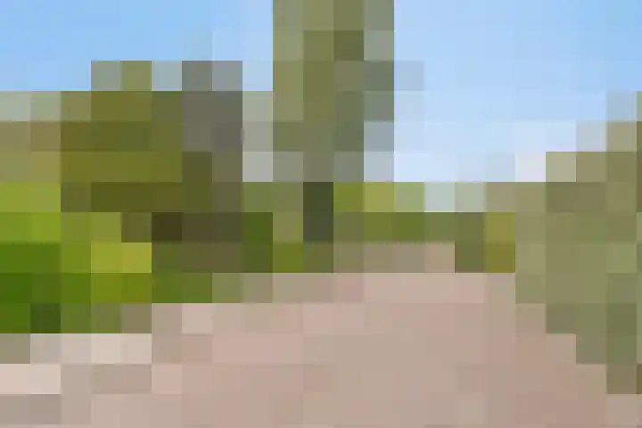 Melkweg 12 Dronten thumbnail 39