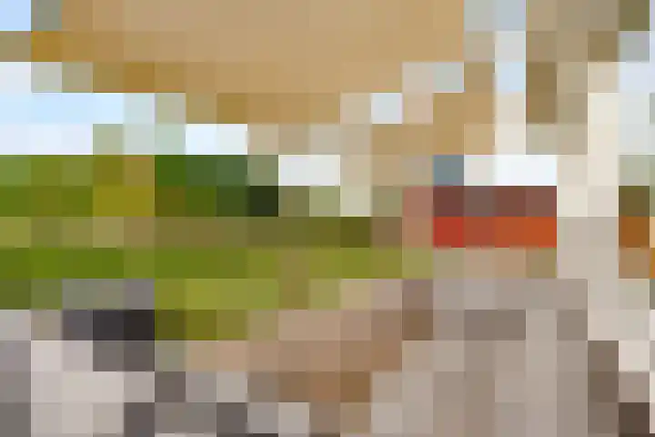 Melkweg 17 Almere thumbnail 42