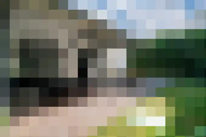 Melkweg 2 112 Beek thumbnail 10