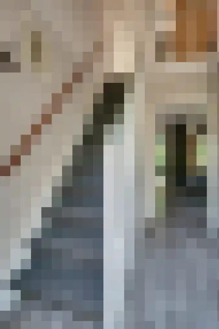 Melkweg 2 112 Beek thumbnail 25