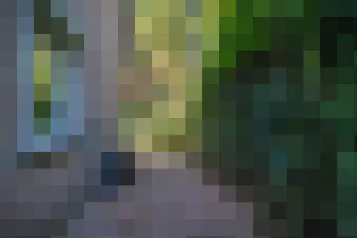 Melkweg 2 112 Beek thumbnail 39