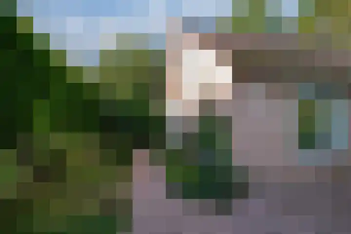 Melkweg 2 112 Beek thumbnail 6