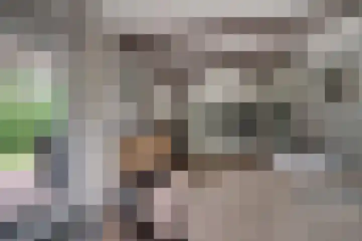 Melkweg 2 120 Beek thumbnail 23