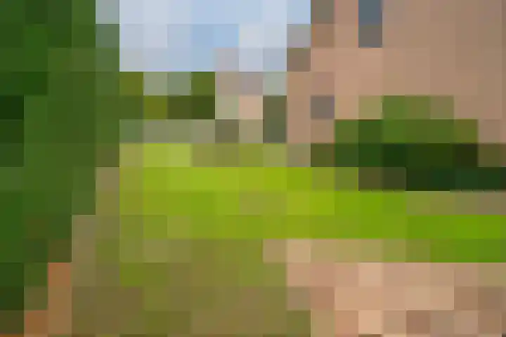 Melkweg 2 120 Beek thumbnail 31