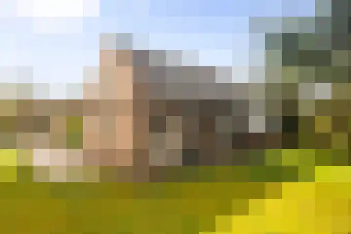 Melkweg 2 122 Beek thumbnail 17