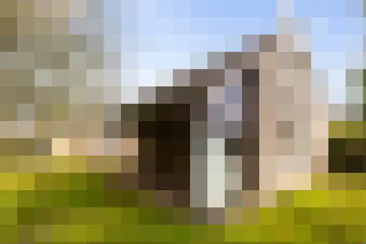 Melkweg 2 122 Beek thumbnail 20