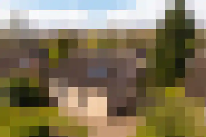 Melkweg 2 122 Beek thumbnail 31