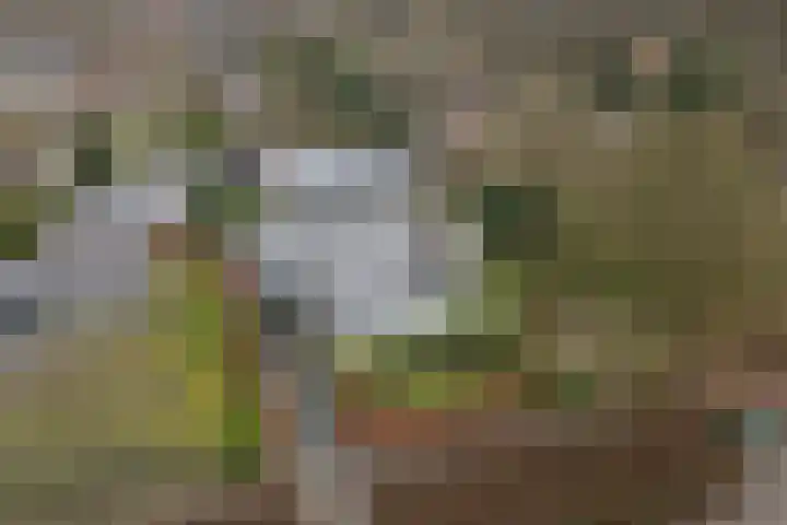 Melkweg 22 Dronten thumbnail 31