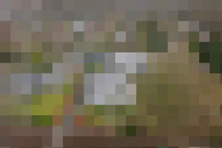 Melkweg 22 Dronten thumbnail 32