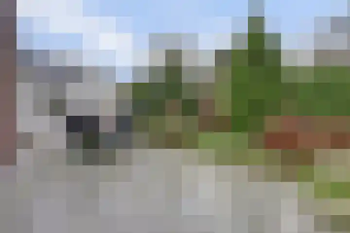 Melkweg 22 Dronten thumbnail 36
