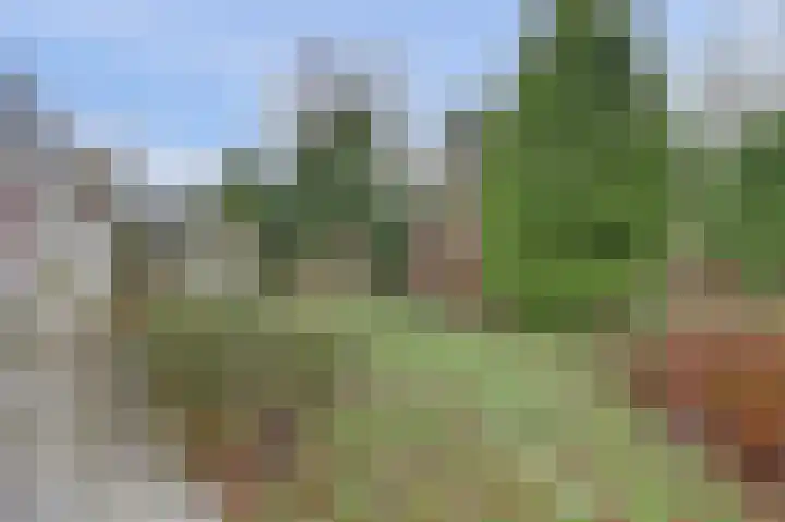 Melkweg 22 Dronten thumbnail 38