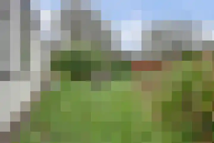 Melkweg 22 Dronten thumbnail 39
