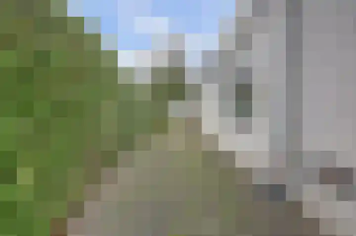 Melkweg 22 Dronten thumbnail 40