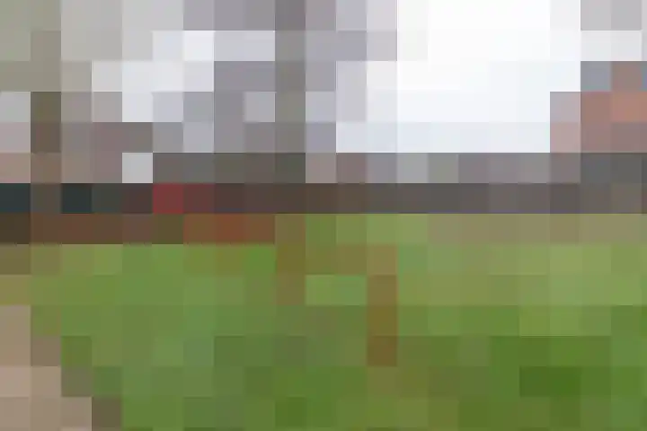 Melkweg 45 Silvolde thumbnail 43