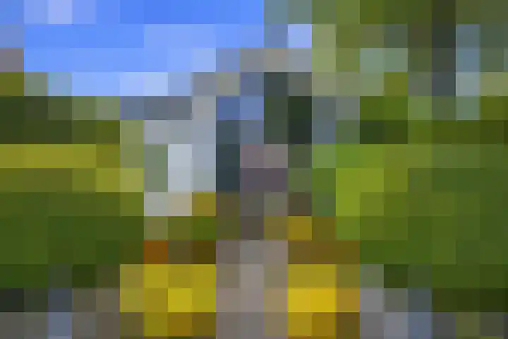 Melkweg 7 Mill thumbnail 27