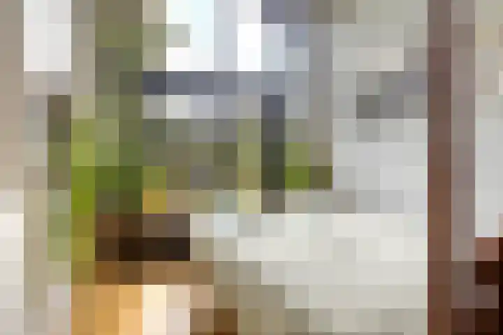 Melkweg 7 Mill thumbnail 28