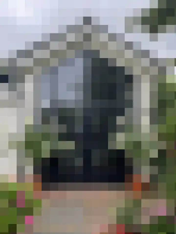 Melkweg 7 Mill thumbnail 29