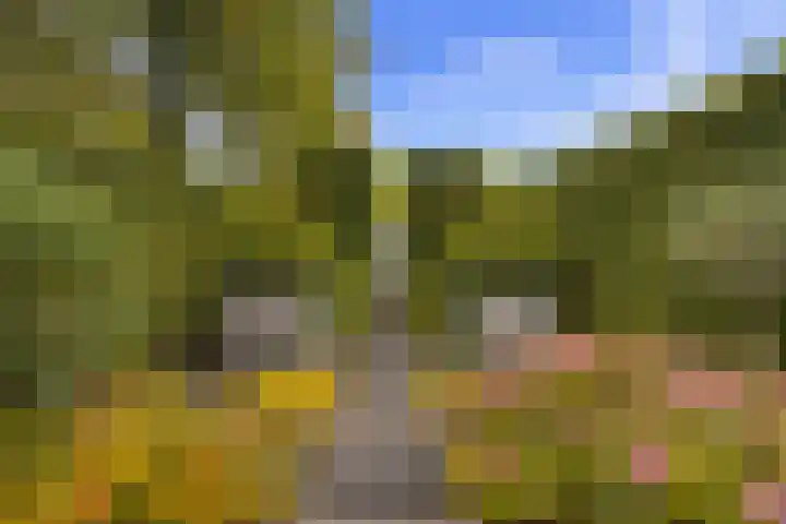 Melkweg 7 Mill thumbnail 31