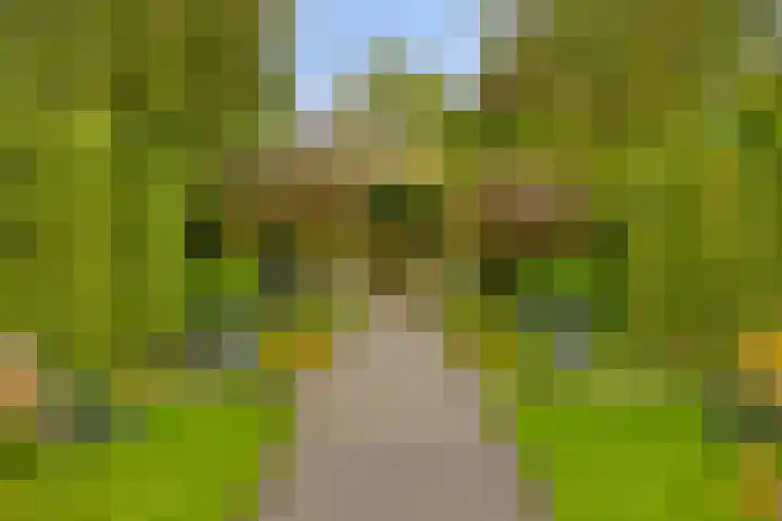 Melkweg 7 Mill thumbnail 32