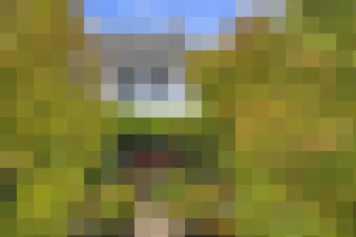 Melkweg 7 Mill thumbnail 37