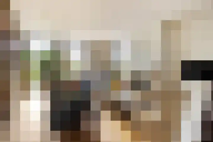 Melkweg 7 Mill thumbnail 4