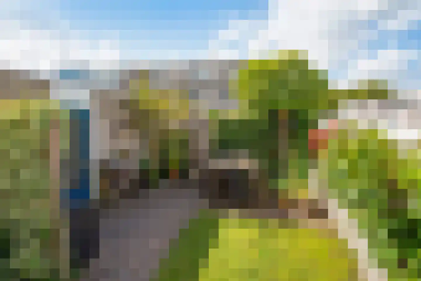 Meloengeel 1 Zoetermeer thumbnail 10