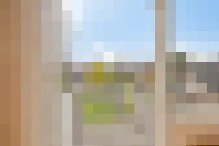 Meloengeel 1 Zoetermeer thumbnail 13