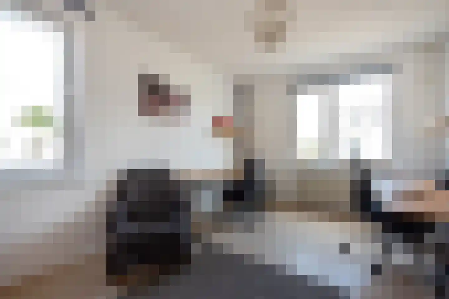 Meloengeel 1 Zoetermeer thumbnail 22