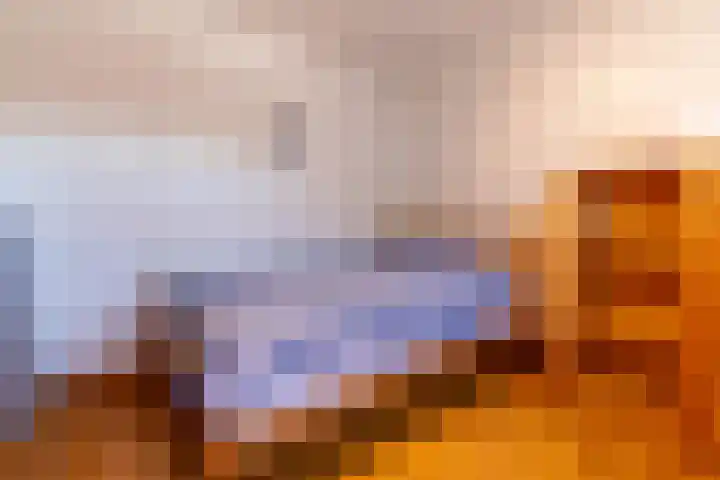 Meloengeel 1 Zoetermeer thumbnail 24