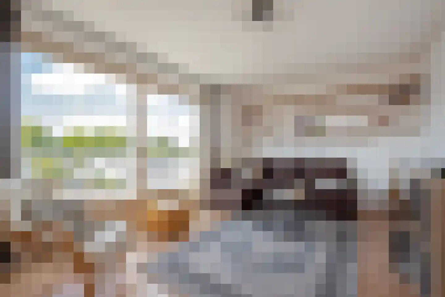 Meloengeel 1 Zoetermeer thumbnail 25