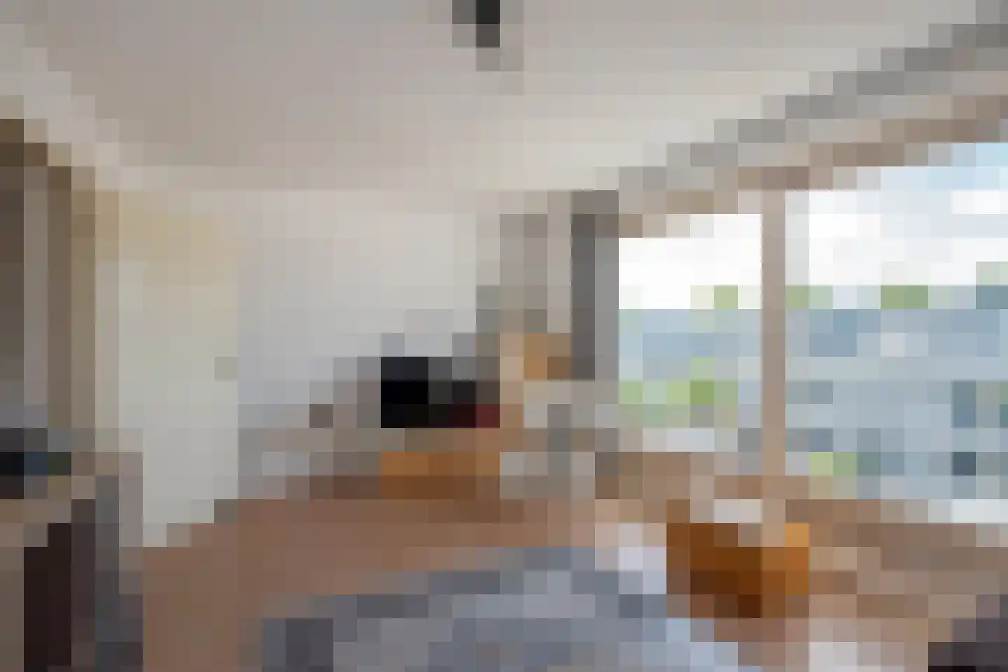 Meloengeel 1 Zoetermeer thumbnail 27